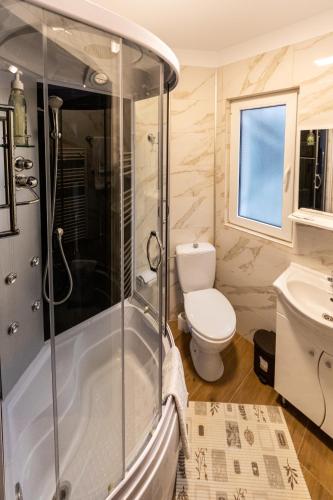 a bathroom with a shower and a toilet at Pension Master in Sinaia