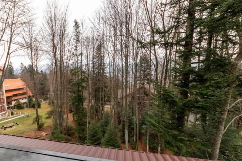 a view from the balcony of a house with trees at Pension Master in Sinaia