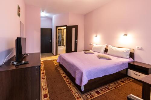 a hotel room with a bed and a television at Pension Master in Sinaia