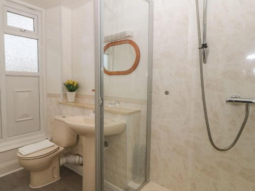 a bathroom with a shower and a toilet and a sink at Bryn Noddfa in Morfa Nefyn