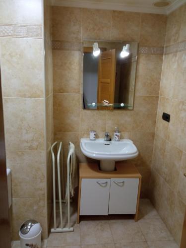 a bathroom with a sink and a mirror at VuT EL NEGRILLO 15 VUT-LE-413 in Astorga