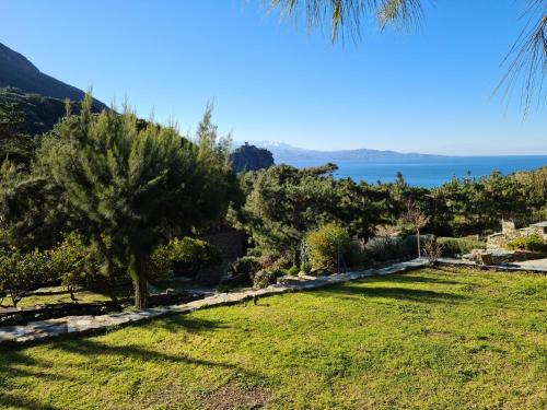 a garden with a tree and the ocean in the background at L'Elementariu in Nonza