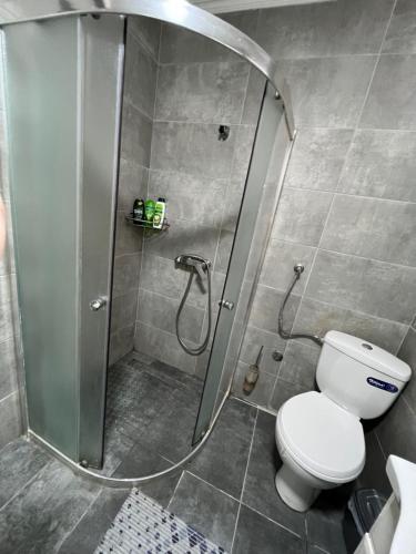 a bathroom with a shower with a toilet in it at Aurora apartment in Sombor