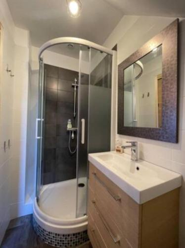 une salle de bain avec douche et lavabo dans l'établissement Charmant studio tout confort Cesson Sévigné ., à Cesson-Sévigné