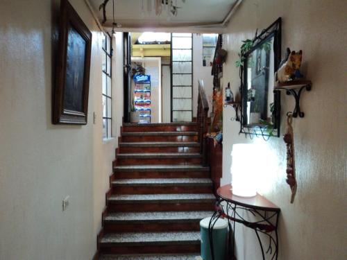 a hallway with stairs with a dog sitting on top at Hotel Chalet in Chichicastenango