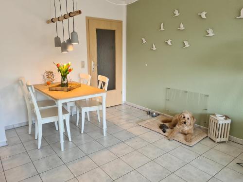 a dog laying on the floor next to a table at Watt will man Meer in Cuxhaven