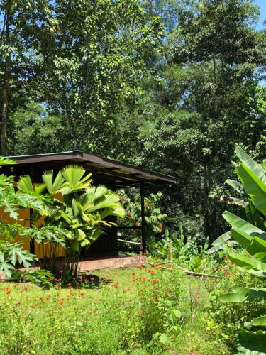a pavilion in a garden with plants and trees at Gran Gavilán del Sarapiquí Lodge in Sarapiquí