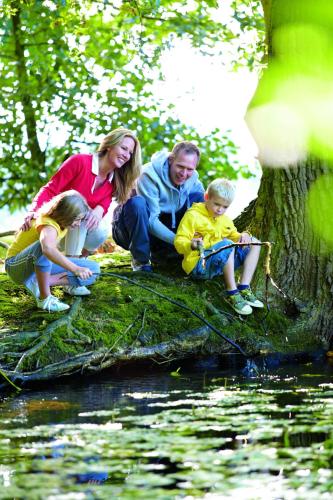 a group of people sitting on a tree by the water at Macdonald Leeming House in Watermillock
