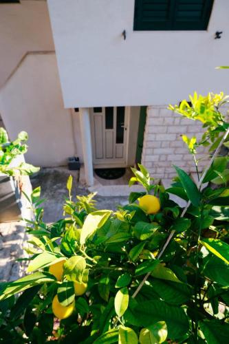 Split Centre Apartment