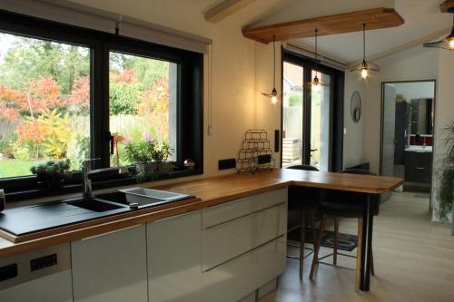 - une cuisine avec un évier et un comptoir dans l'établissement Gîte La Riviera, à Wargnies-le-Grand