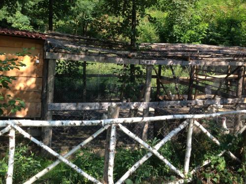 an old wooden fence in front of a building at Gasthaus Maria in Borlova