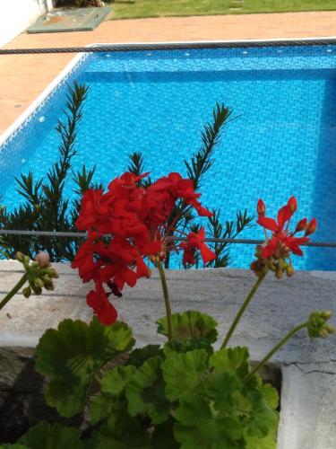 Kolam renang di atau dekat dengan CHALÉ DO VALE - EXCLUSIVIDADE E CONFORTO!!