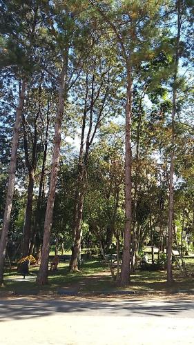 Taman di luar CHALÉ DO VALE - EXCLUSIVIDADE E CONFORTO!!