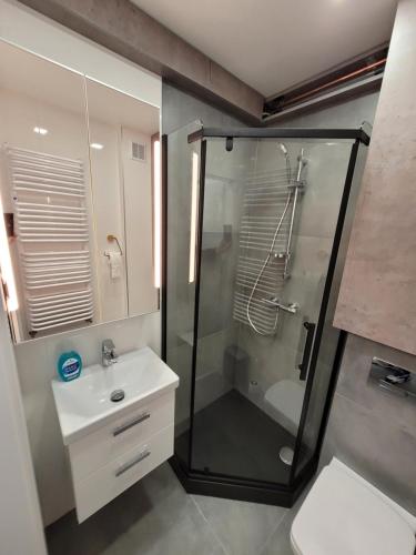 y baño con ducha y lavamanos. en Apartament Pod Radiostacją -Gliwice Tarnogórska, parking en Gliwice