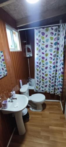 a bathroom with two toilets and a shower curtain at Cabaña mateo 3 in Puerto Puyuhuapi