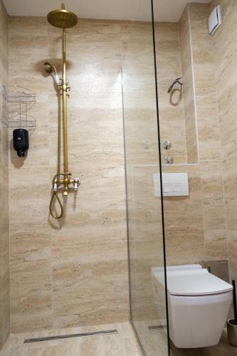 a bathroom with a toilet and a glass shower at Drvena Kuca RUŽA in Kopaonik
