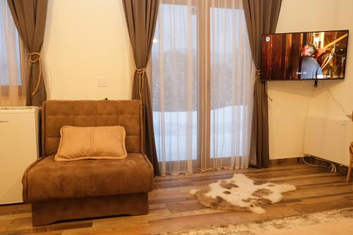 a living room with a couch and a tv at Drvena Kuca RUŽA in Kopaonik