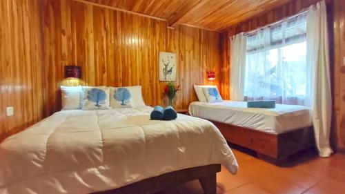 a bedroom with two beds and a window at Cowboy Hostel - Habitaciones con Baño Privado in Monteverde Costa Rica