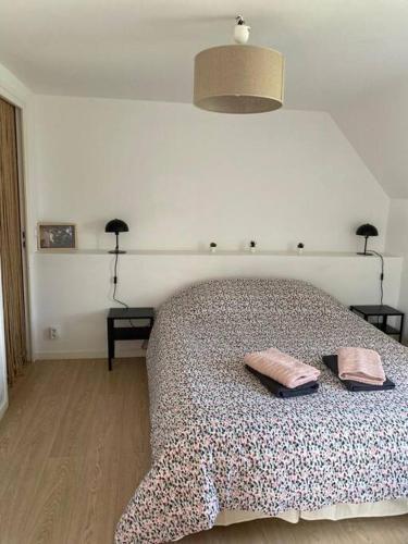 a bedroom with a bed with two pillows on it at Les écuries du Nevez in Plonéour-Lanvern