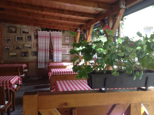 a restaurant with red and white tables and a plant at Penzión Duna & soľná jaskyňa in Komárno