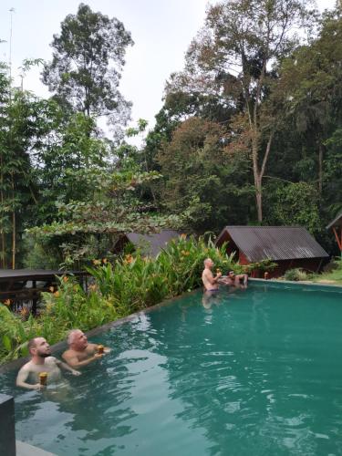 a group of men in a swimming pool at Sinharaja Forest Gate in Deniyaya