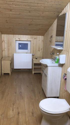 a small bathroom with a toilet and a sink at Pensiunea Valea Tonii in Strungari