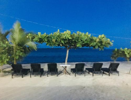 a group of chairs sitting under a tree on the beach at Maykenn Beach in Bantayan Island