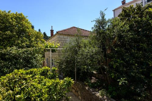 un jardín con árboles y un edificio de fondo en Apartment Pavlina, en Dubrovnik