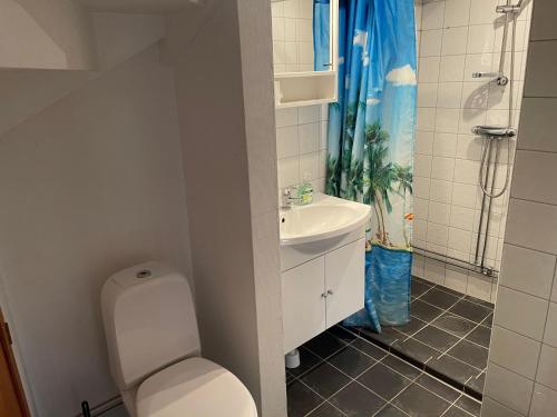 a bathroom with a toilet and a sink at Cozy lodge at horse farm with lake and sauna in Hölö