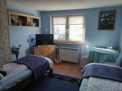 Televízia a/alebo spoločenská miestnosť v ubytovaní Homestay Stróżówka