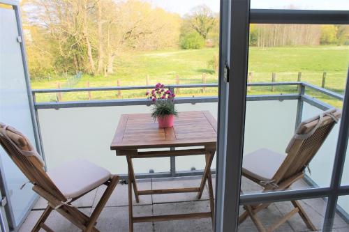 グレーミッツにある"Pappelhof - Whg 6"のテーブルと椅子2脚、バルコニー(テーブル、花付)