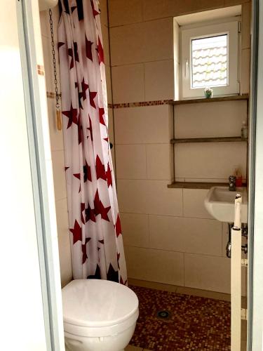 ein Bad mit einem WC und einem Duschvorhang in der Unterkunft Mini Apartment in Osterholz-Scharmbeck