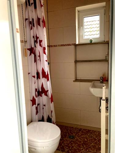 Ένα μπάνιο στο Mini Apartment