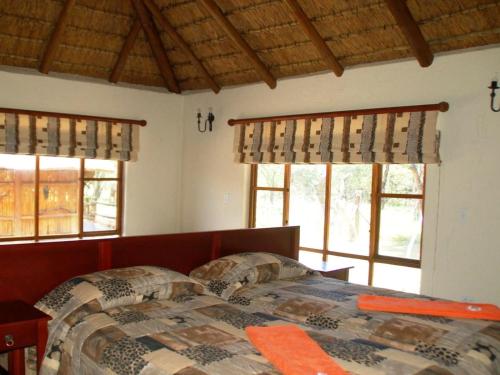 Hornbill Private Lodge Mabalingwe في Mabula: غرفة نوم مع سرير في غرفة مع نوافذ