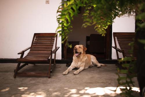 Kandy City House – Photos 2