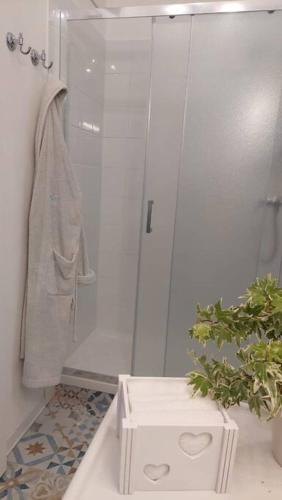a bathroom with a shower and a potted plant at Appartamento - Lì de Là tra i fiori in Villafranca di Verona