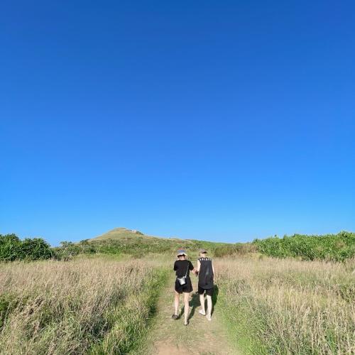 two men walking a dog down a dirt road at Green Island Good Sound in Green Island