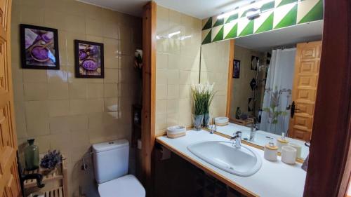 uma casa de banho com um lavatório, um WC e um espelho. em APARTAMENTO MUY CÉNTRICO con VISTAS - El Niuet de Sort em Sort
