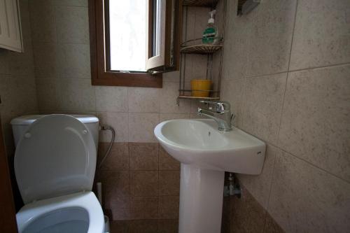 a bathroom with a toilet and a sink at Bozis Private Pool Villa, Siviri in Siviri