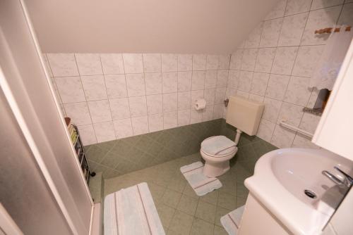 une petite salle de bain avec toilettes et lavabo dans l'établissement Vineyard Cottage Brodaric, à Metlika