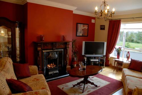 a living room with a fireplace and a television at Eas Dun Lodge in Donegal