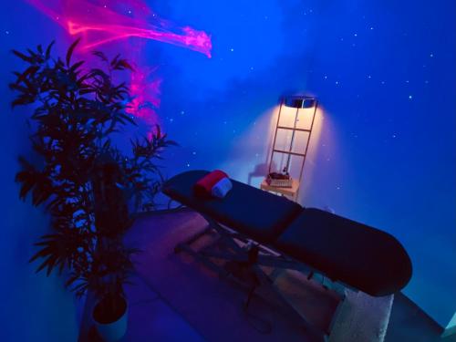 a blue room with a couch and a plant at Etoiles de Provence DUO ROMANTIC in La Ciotat