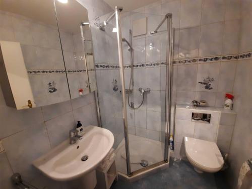 La salle de bains est pourvue d'une douche, d'un lavabo et de toilettes. dans l'établissement DKK1b Ferienwohnung Stäcker F, à Niendorf