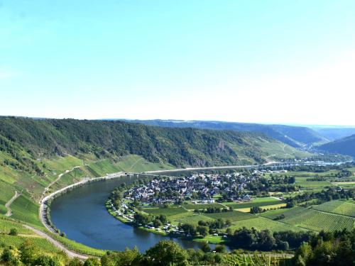 uma vista aérea de uma aldeia num rio em Spitzhaus Wolf em Traben-Trarbach