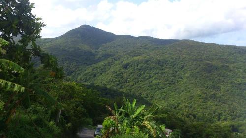 a view of a mountain with a river and trees at Insolite Ara Wakan / Ma cabane in Pointe-Noire