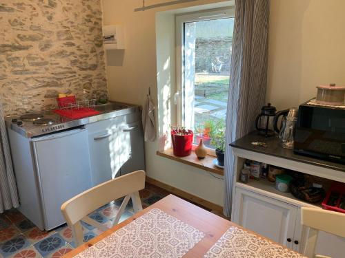 uma cozinha com um lavatório, um fogão e uma janela em Le pigeonnier de la plume em Nantes