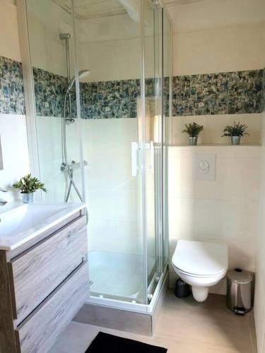 une salle de bain avec une douche, des toilettes et un lavabo dans l'établissement Chez Tata Célestine, à Castelnau-Pégayrols