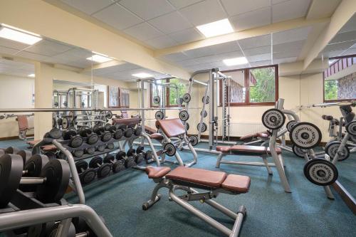Palestra o centro fitness di APLEND Wellness Hotel Borovica
