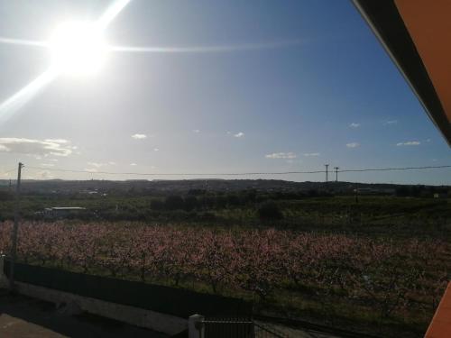 a view of a field with the sun in the sky at Villa Caterina in Solarino