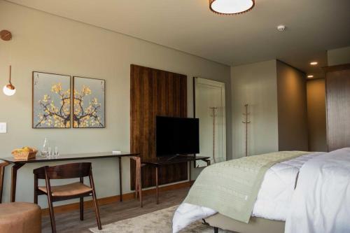 TV a/nebo společenská místnost v ubytování Hotel Vinícola Davo